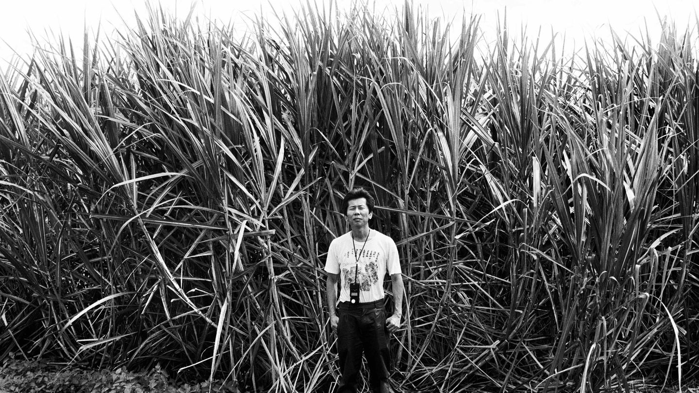 milestone_williamyangself-portrait-1-1992-sharp
