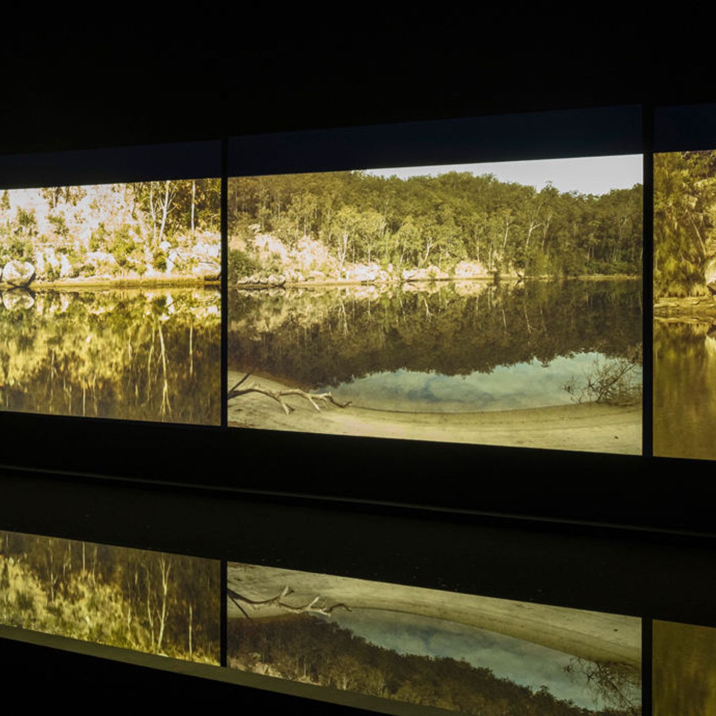 griffithuniversityartmuseum
